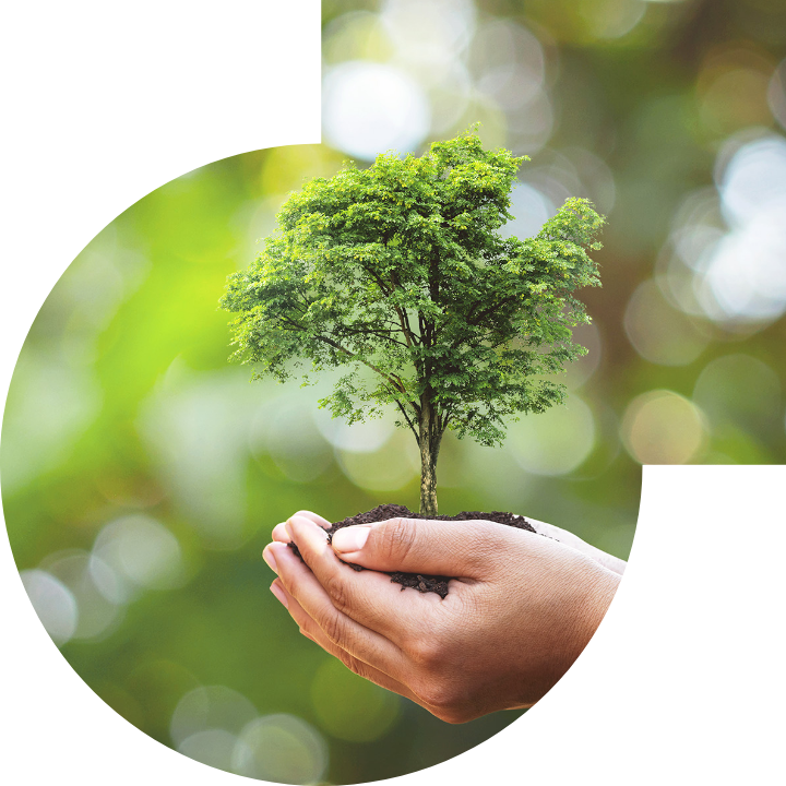 關懷人類、文化、環境與社會